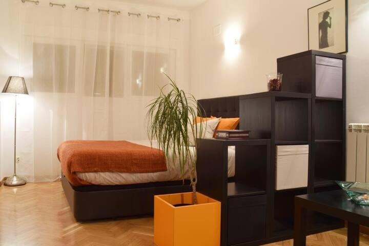 Ferienwohnung Estudio Acogedor Y Luminoso Madrid Exterior foto